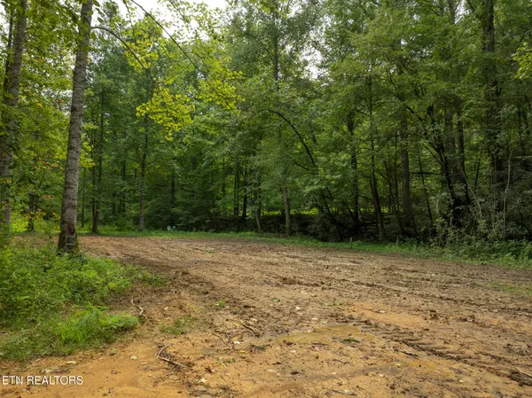 $95,000 | Lot 5-6 Ardell Way, Cosby, TN 37722