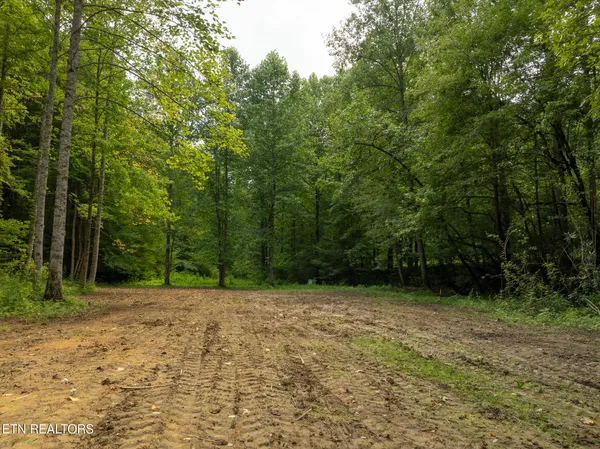 $95,000 | Lot 5-6 Ardell Way, Cosby, TN 37722