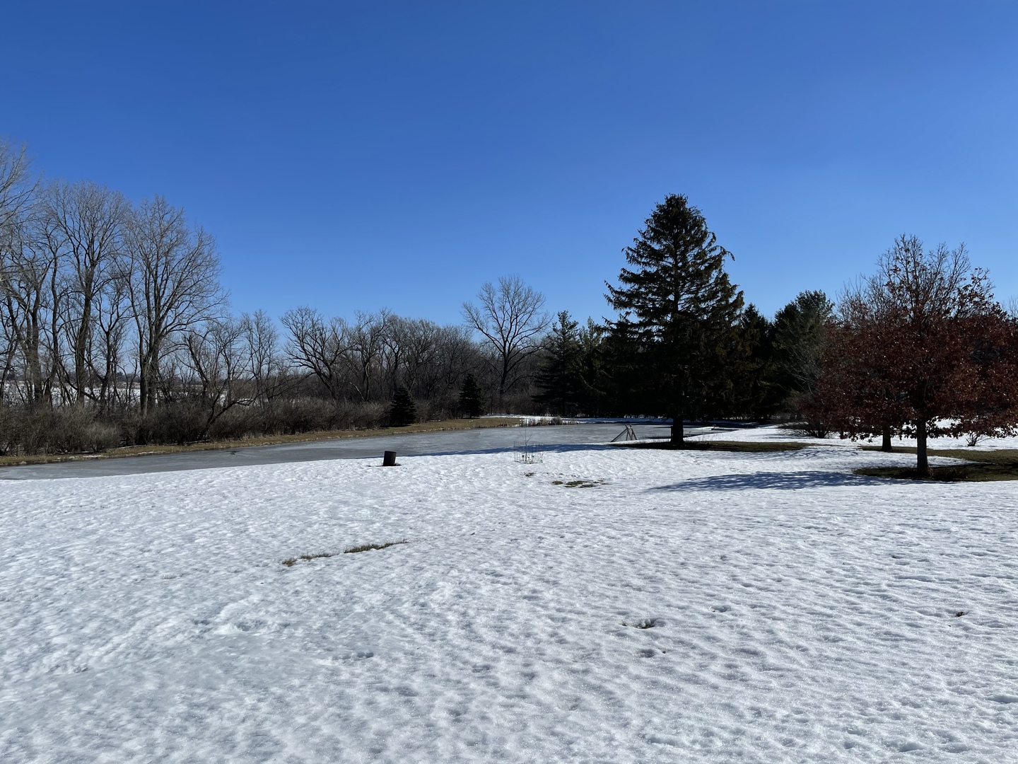 -n575 Pouley Road Elburn, IL 60119 - Photo 24 of 27 a view of open space with trees