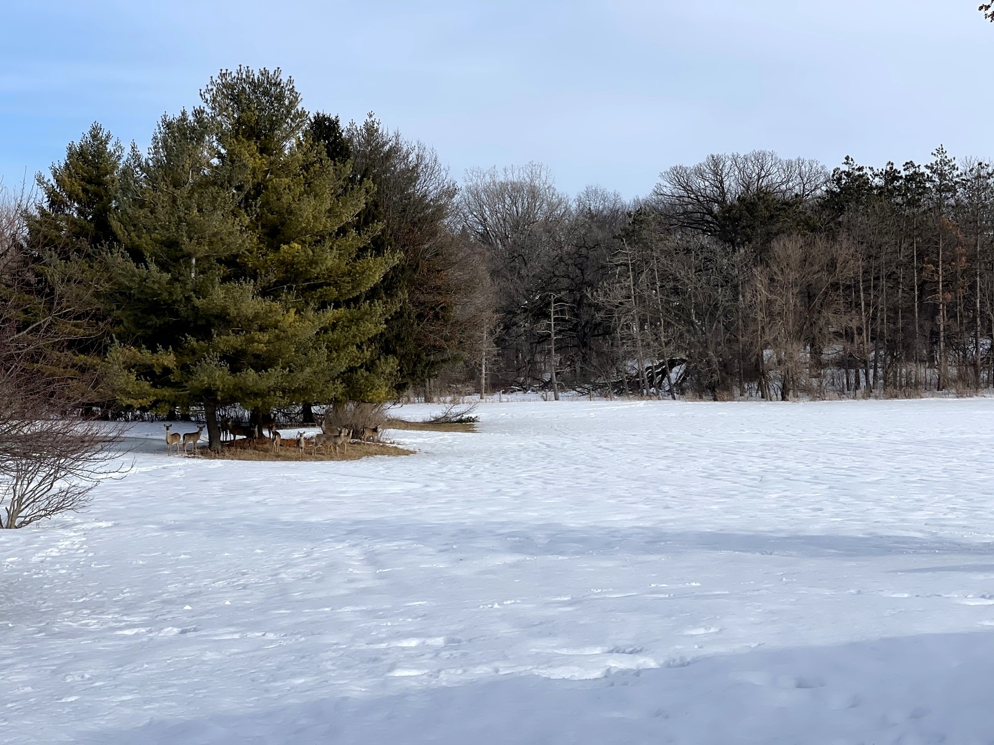 -n575 Pouley Road Elburn, IL 60119 - Photo 25 of 27 a view of covered with snow