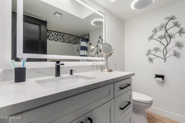a bathroom with a sink and a toilet
