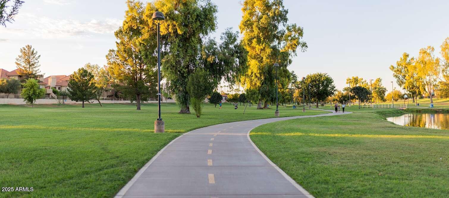 2529 North Miller Road Scottsdale, AZ 85257 - Photo 61 of 65 a park with lots of trees and plants
