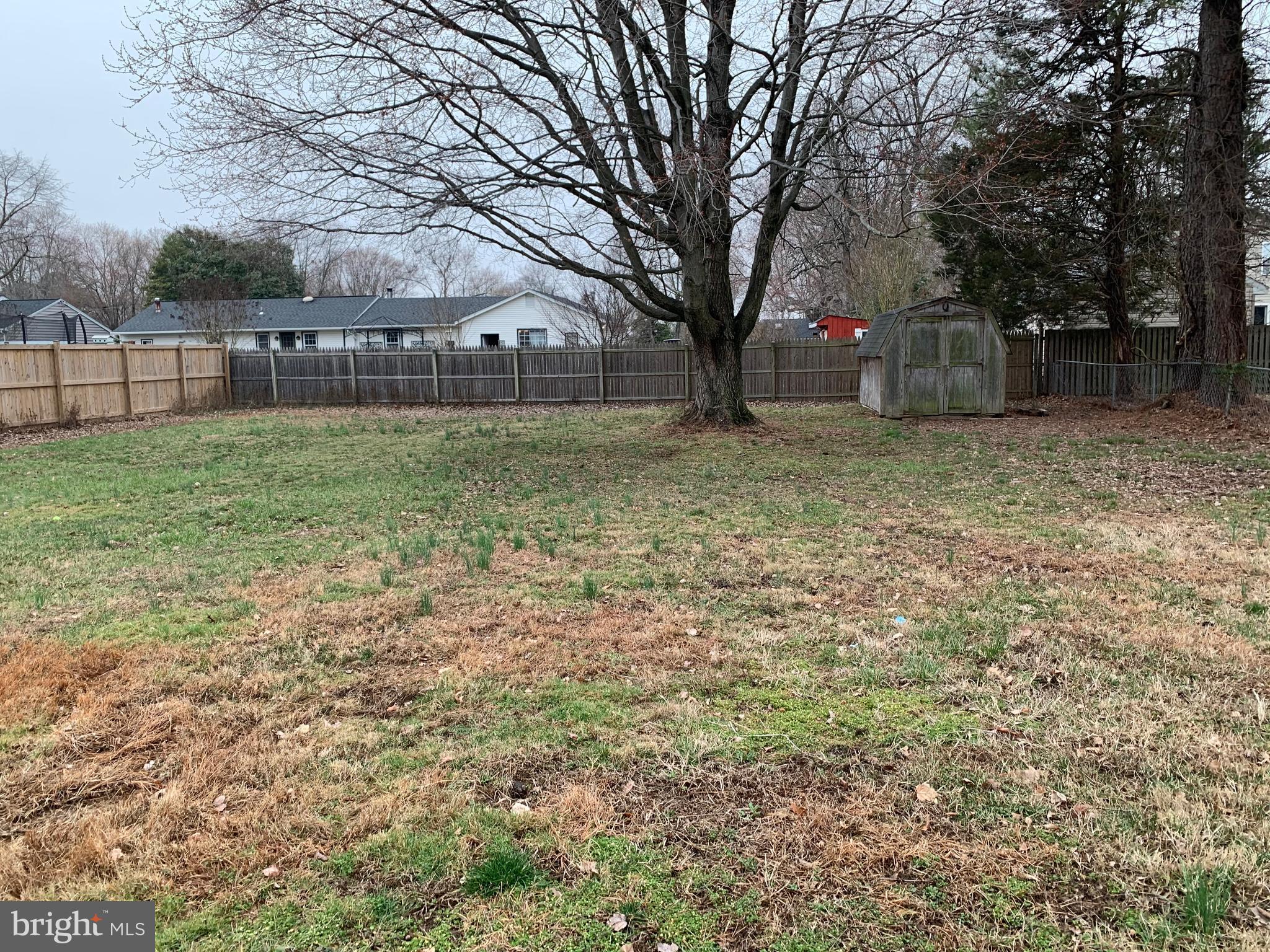 5866 Deale Churchton Road Deale, MD 20751 - Photo 21 of 26 a view of a backyard with large trees
