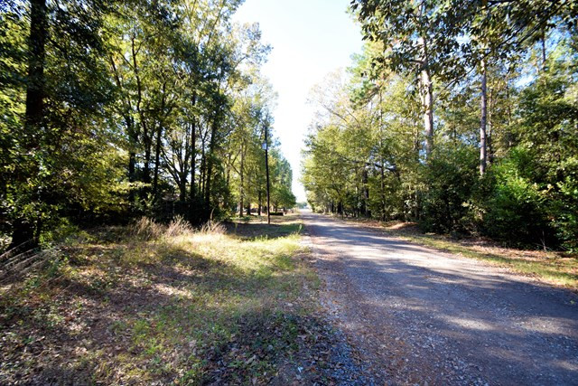 Lot 0 Coward Road Aiken, SC 29803 - Photo 4 of 7