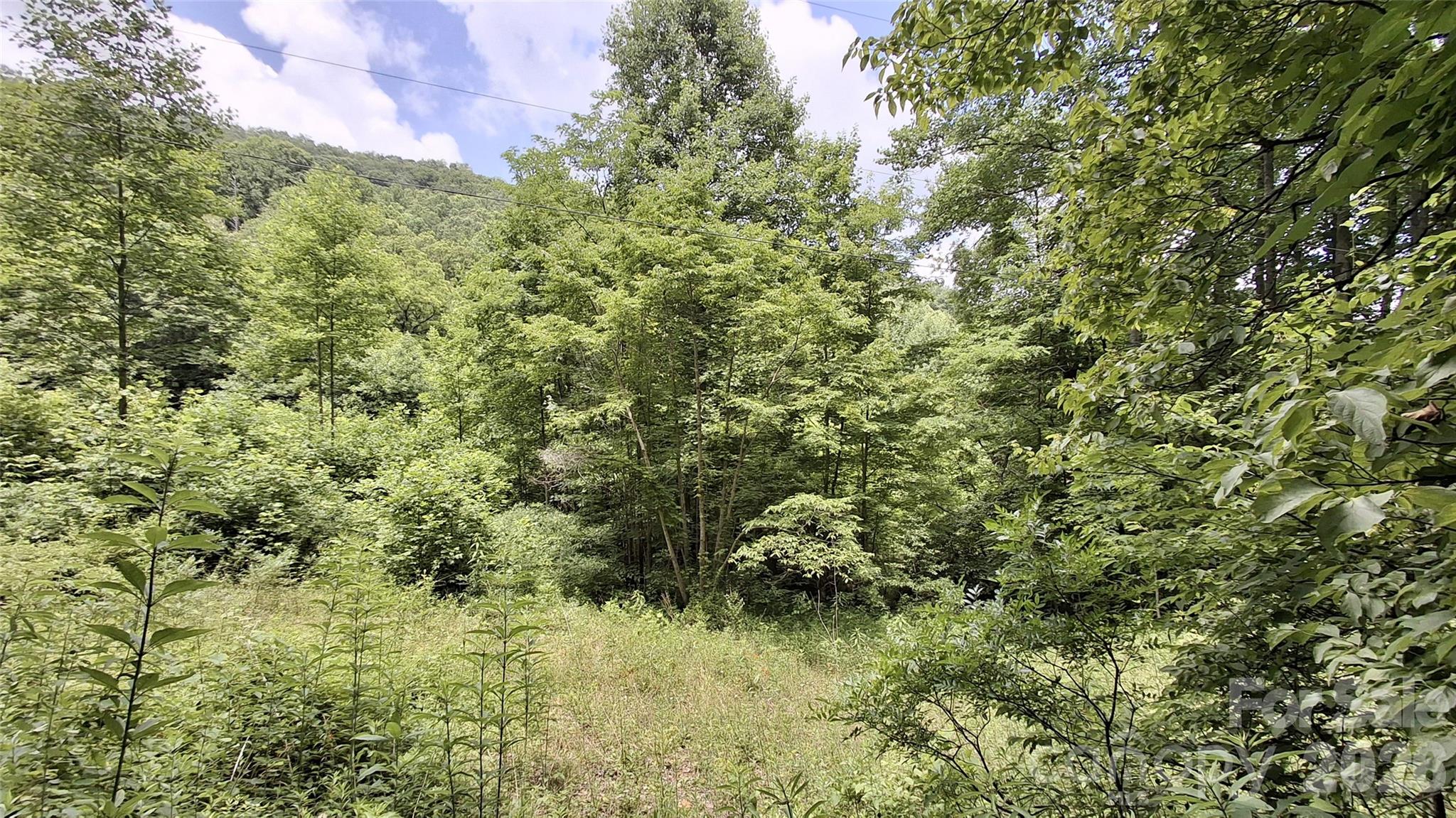 0 Dry Creek Road Robbinsville, NC 28771 - Photo 2 of 20