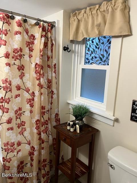 272 Clayton Road Sheffield, MA 01222 - Photo 36 of 42 1st Floor Bath