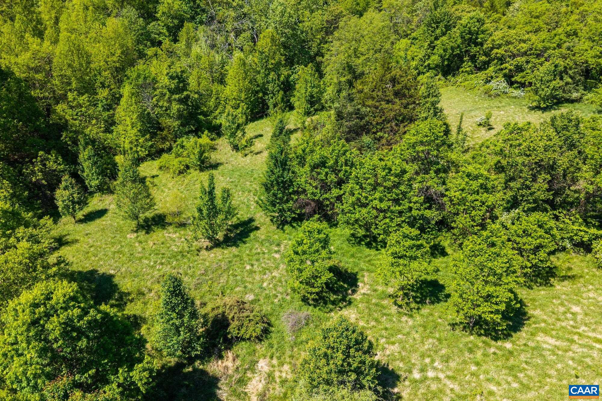 2255 Boonesville Road Dyke, VA 22935 - Photo 11 of 34