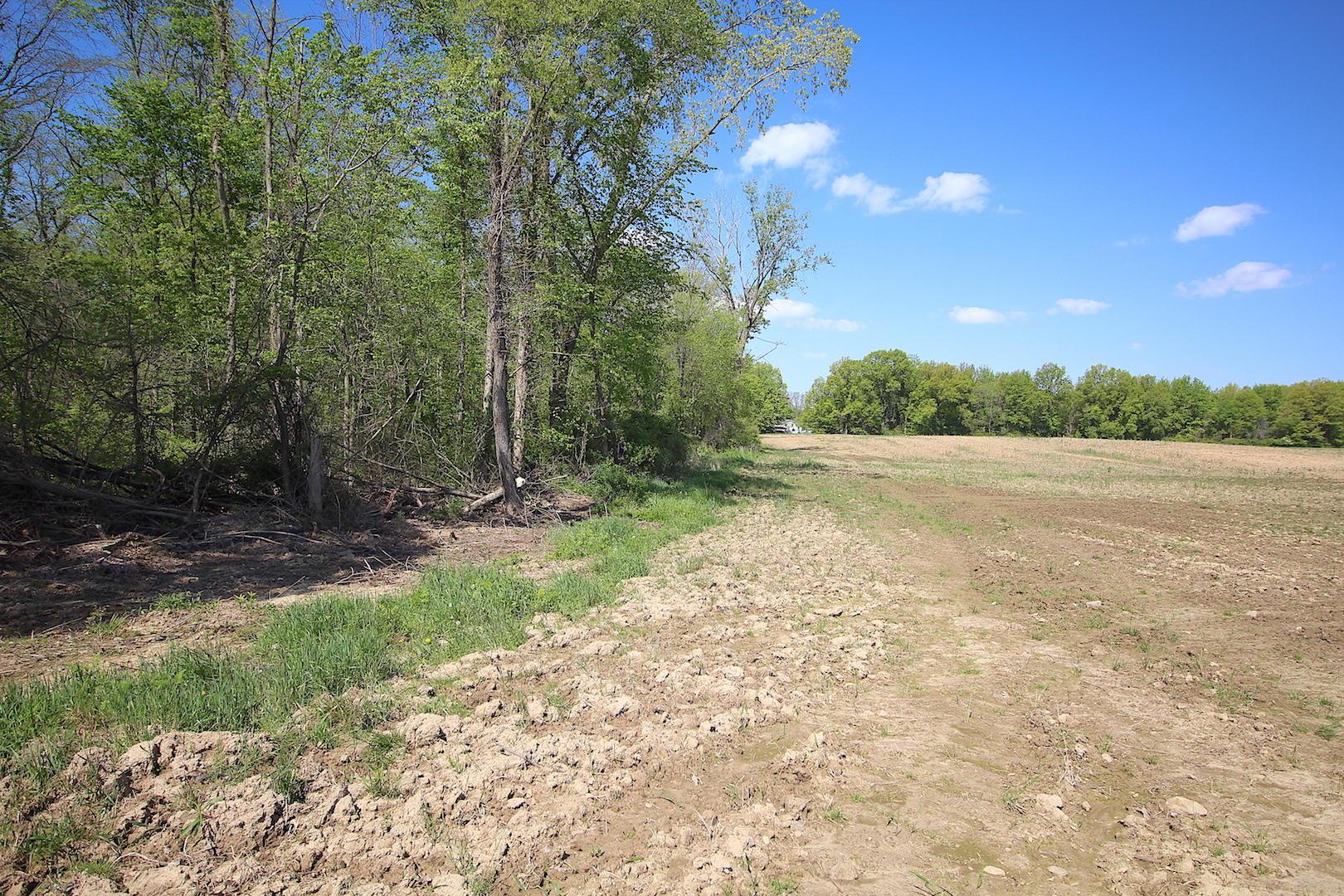 0 Ross Road Sunbury, OH 43074 - Photo 29 of 35 Gallery Image 29