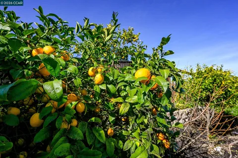 $699,000 | 130 Savona Way, Bay Point, CA 94565