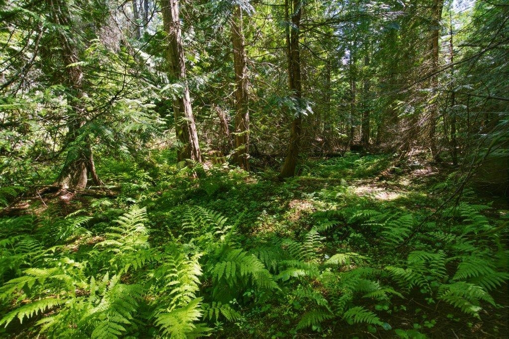 1301 Veit Road Newport, WA 99156 - Photo 13 of 33
