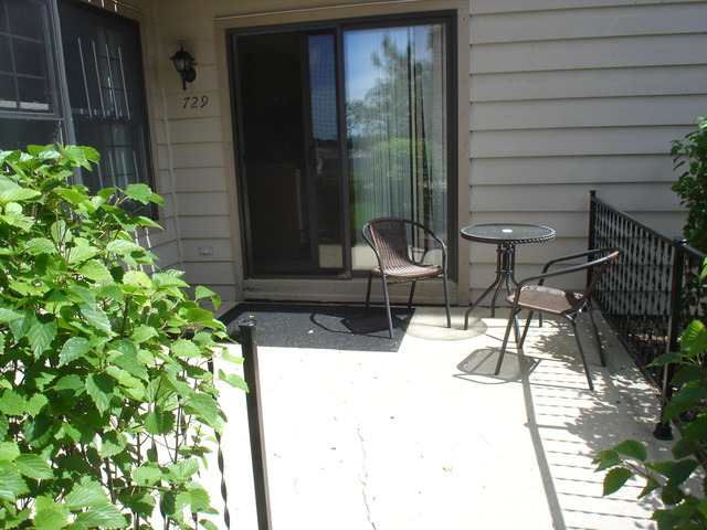 729 Shepard Court Gurnee, IL 60031 - Photo 13 of 17