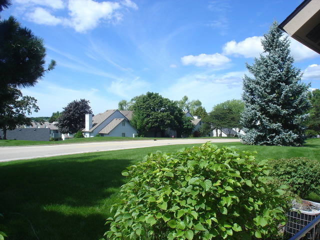 729 Shepard Court Gurnee, IL 60031 - Photo 14 of 17