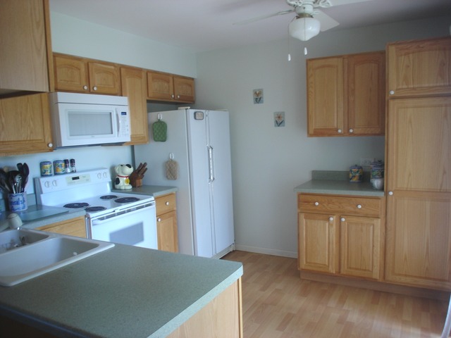 729 Shepard Court Gurnee, IL 60031 - Photo 4 of 17