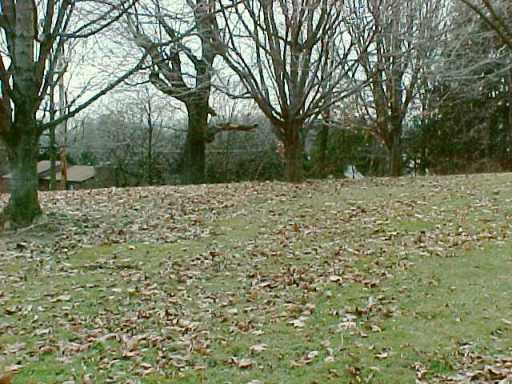303 Springdale Road Venetia, PA 15367 - Photo 8 of 8 Yard/Garden.
