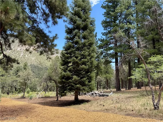 $2,225,000 | 240 Alpine Crest Court, Mount Charleston, NV 89124