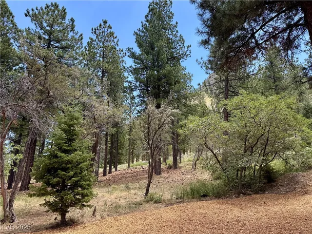 $2,225,000 | 240 Alpine Crest Court, Mount Charleston, NV 89124