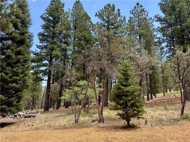 $2,225,000 | 240 Alpine Crest Court, Mount Charleston, NV 89124