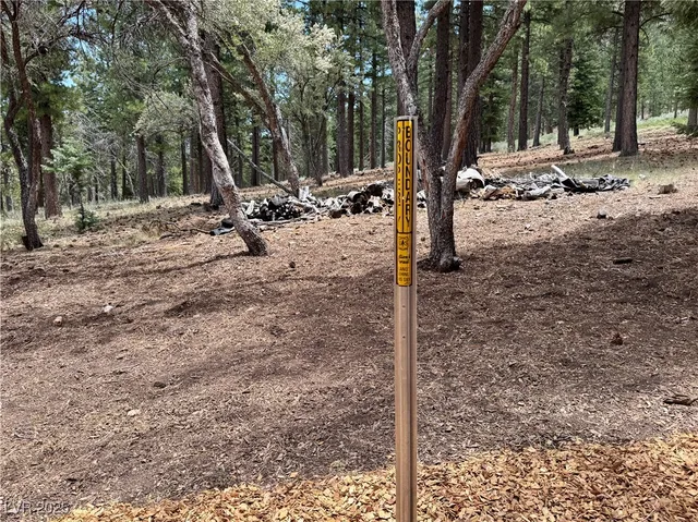 $2,225,000 | 240 Alpine Crest Court, Mount Charleston, NV 89124