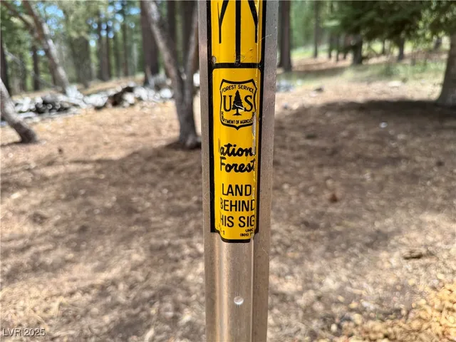 $2,225,000 | 240 Alpine Crest Court, Mount Charleston, NV 89124