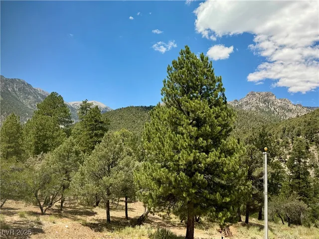 $2,225,000 | 240 Alpine Crest Court, Mount Charleston, NV 89124