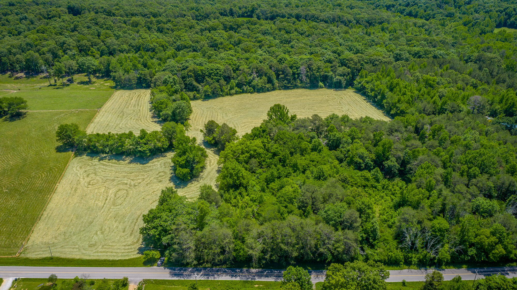 1655 West Cove Road Chickamauga, GA 30707 - Photo 7 of 62 1655 W Cove Road HD-36
