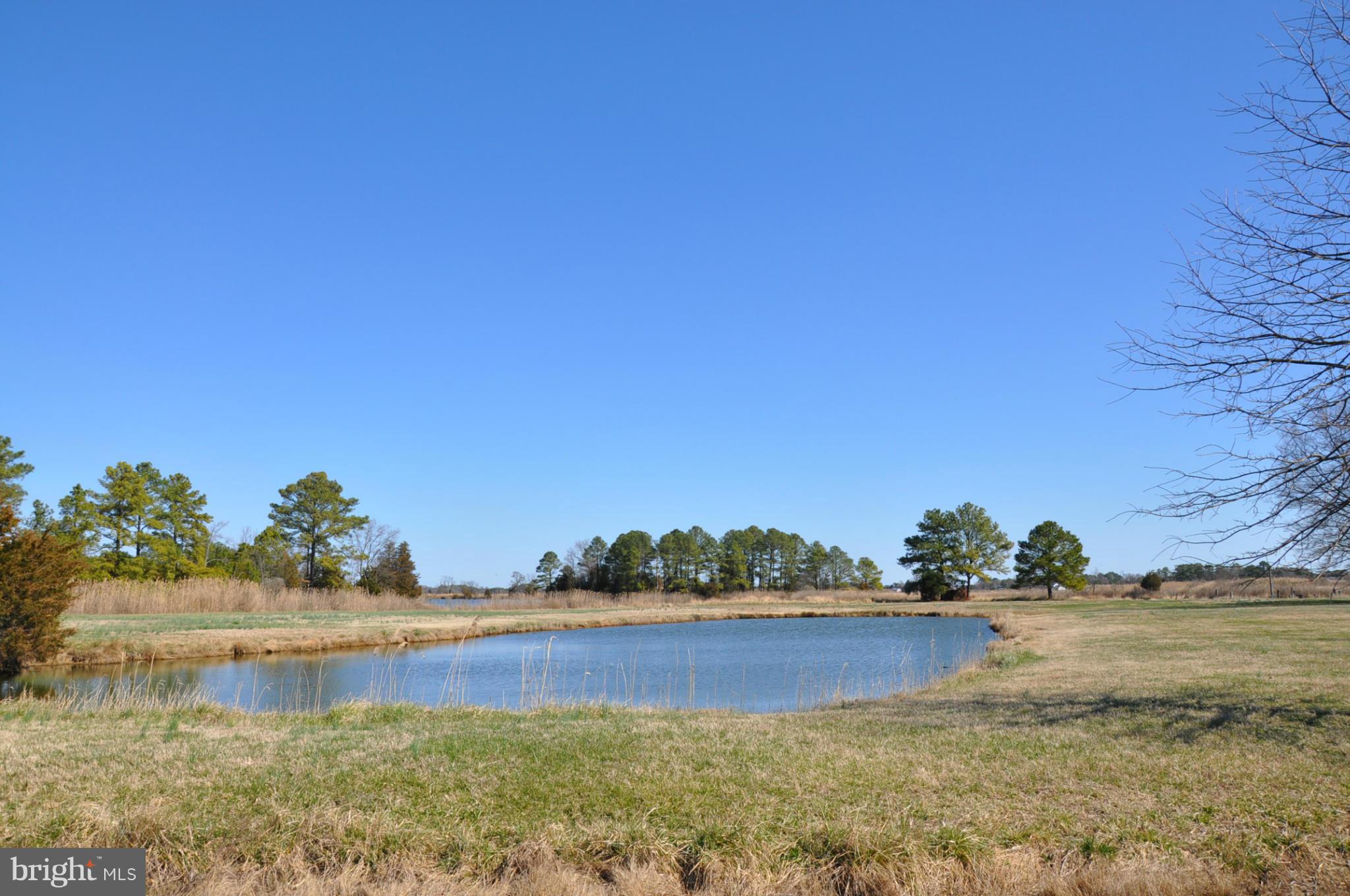 1810 Brannock Neck Road Cambridge, MD 21613 - Photo 9 of 27 Pond