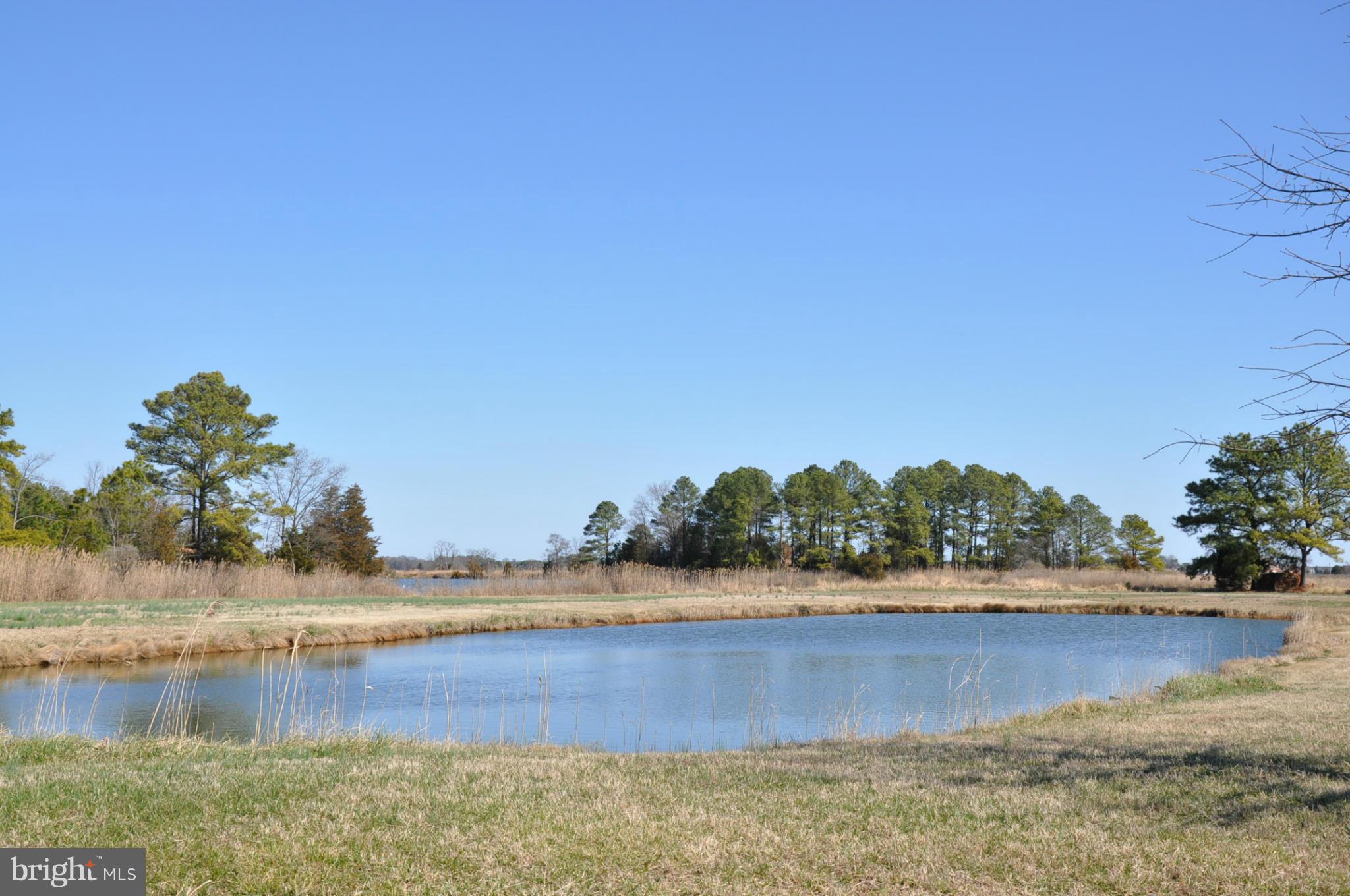 1810 Brannock Neck Road Cambridge, MD 21613 - Photo 10 of 27 Pond