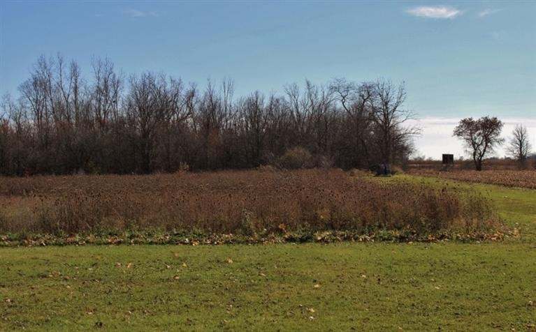 18801 Redman Road Milan, MI 48160 - Photo 6 of 10 Photo 6