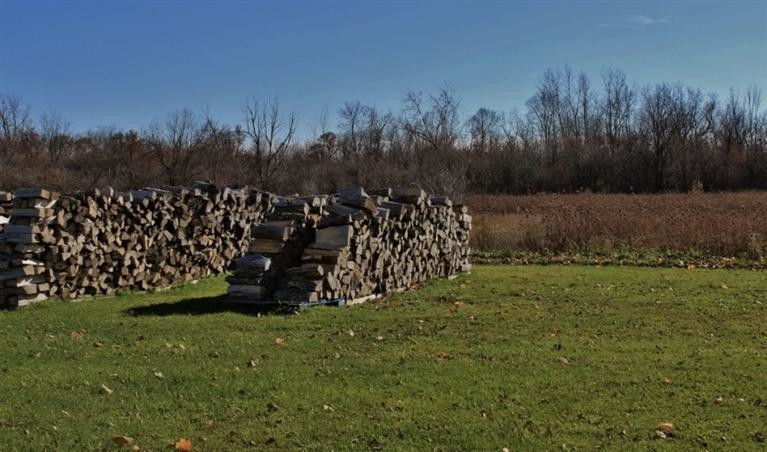18801 Redman Road Milan, MI 48160 - Photo 7 of 10 Photo 7