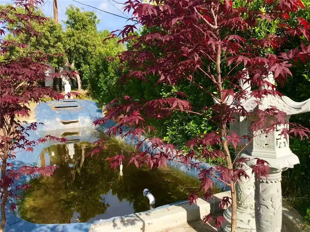 outdoor view of a pathway