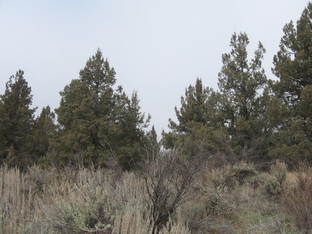 Drews Road Chiloquin, OR 97624 - Photo 5 of 20 5