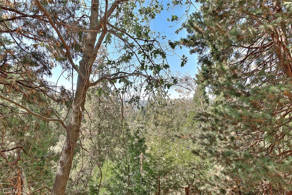 23771 Lakeview Drive Crestline, CA 92325 - Photo 36 of 52