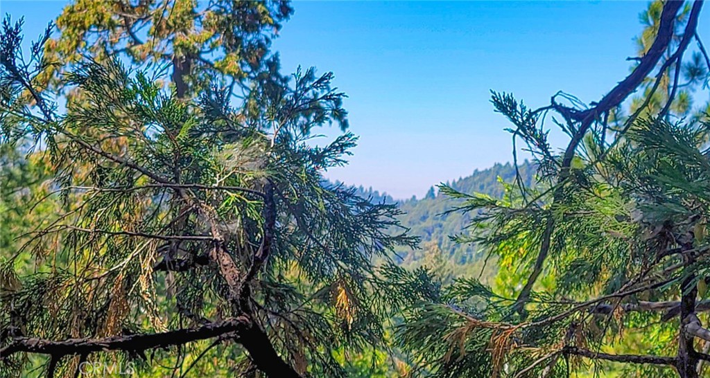 23771 Lakeview Drive Crestline, CA 92325 - Photo 37 of 52