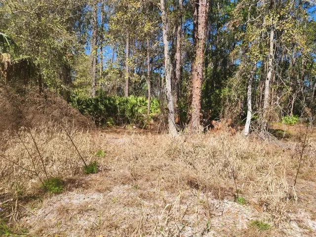 $13,000 | 332 Redwood Boulevard, Georgetown, FL 32139