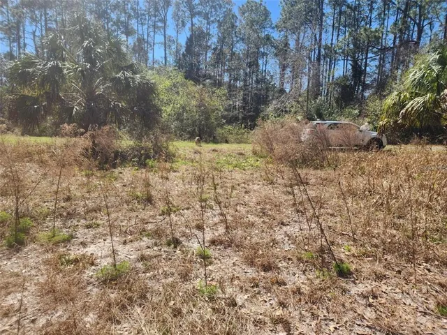 $13,000 | 332 Redwood Boulevard, Georgetown, FL 32139