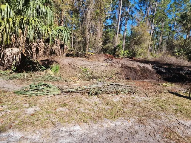 $13,000 | 332 Redwood Boulevard, Georgetown, FL 32139