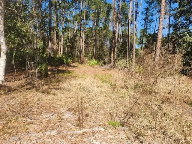 $13,000 | 332 Redwood Boulevard, Georgetown, FL 32139