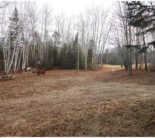 1780 Hamlin Road Van Buren, ME 04785 - Photo 23 of 61 Screen Shot 2020-08-09 at 8.30.00 PM