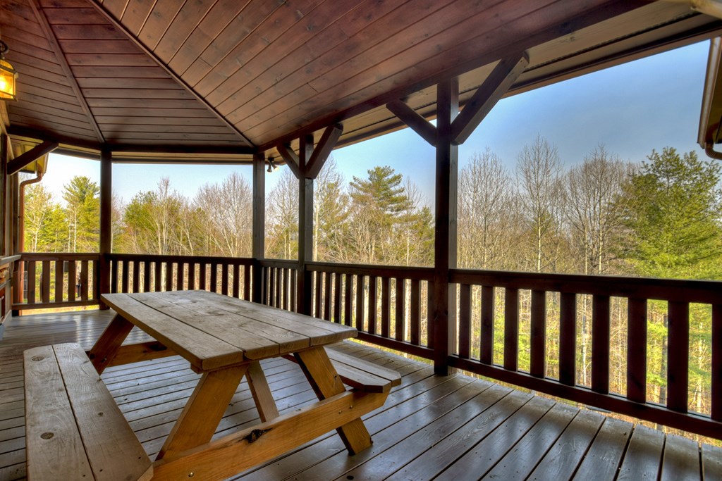 2424 Flagpole Road Ellijay, GA 30540 - Photo 45 of 52 Gallery Image 45