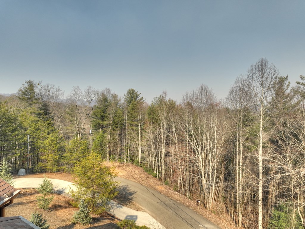 2424 Flagpole Road Ellijay, GA 30540 - Photo 51 of 52 Private Driveway