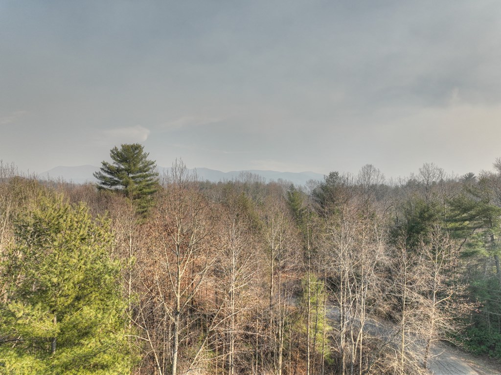 2424 Flagpole Road Ellijay, GA 30540 - Photo 52 of 52 On a clear day you can see Rich Mountain Wildernes