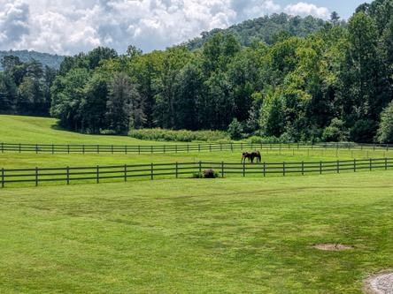 186 Rice Landing Hayesville, NC 28904 - Photo 8 of 78
