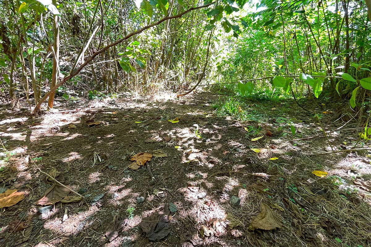 70 Government Beach Road Pahoa, HI 96778 - Photo 11 of 30 Gallery Image 11