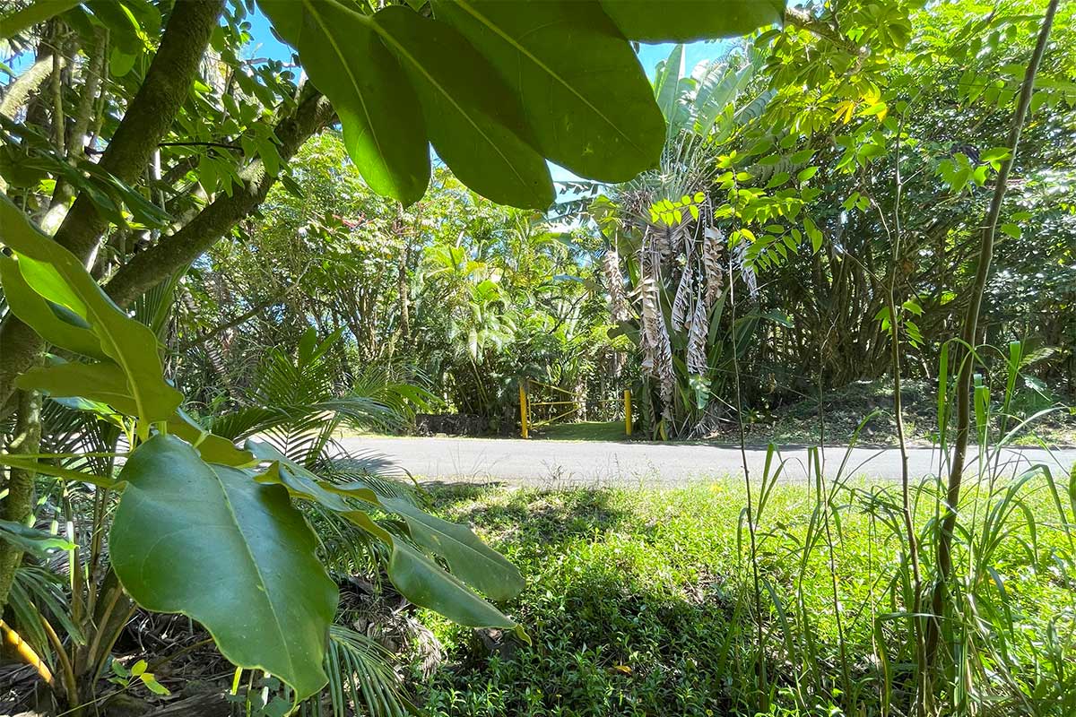 70 Government Beach Road Pahoa, HI 96778 - Photo 16 of 30 Gallery Image 16