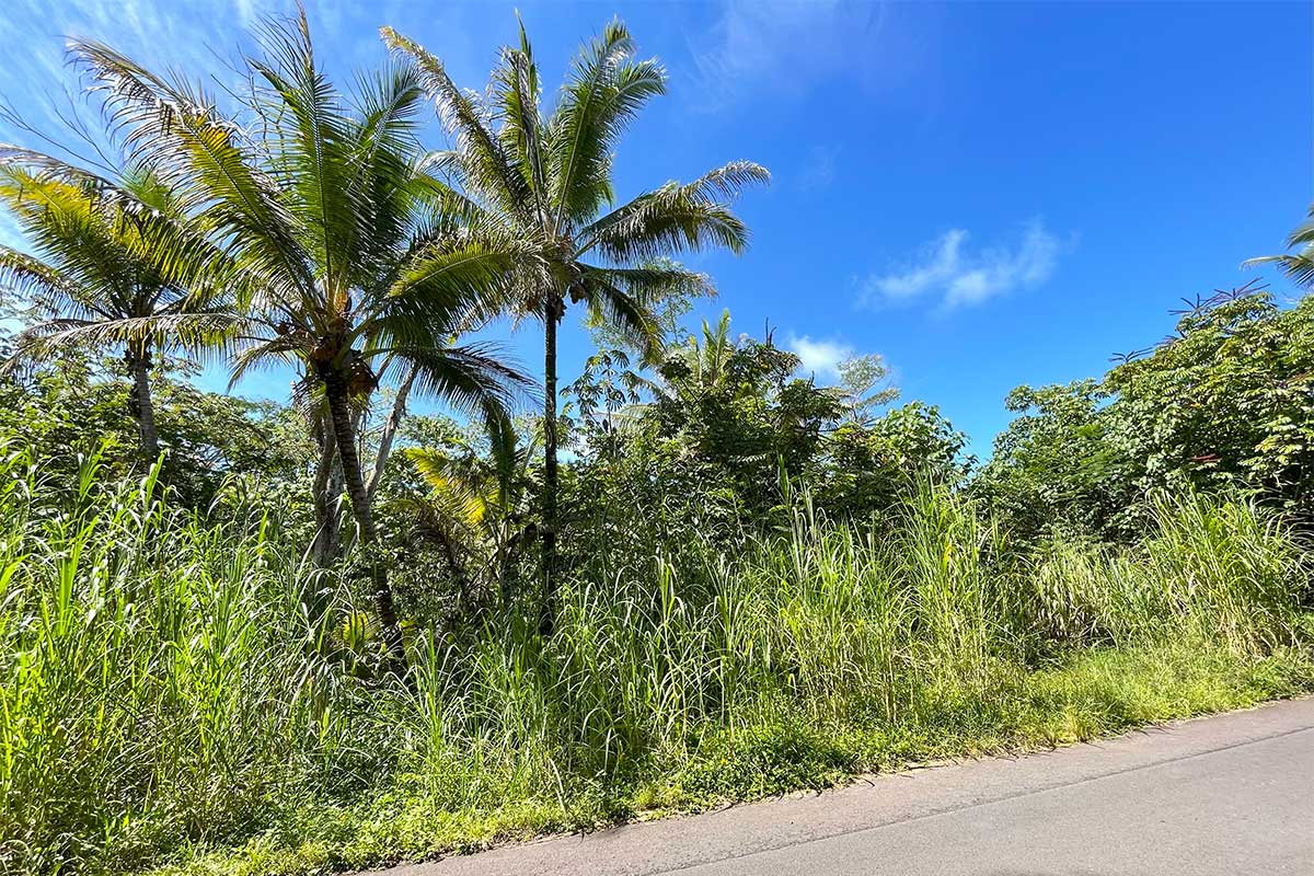 70 Government Beach Road Pahoa, HI 96778 - Photo 17 of 30 Gallery Image 17