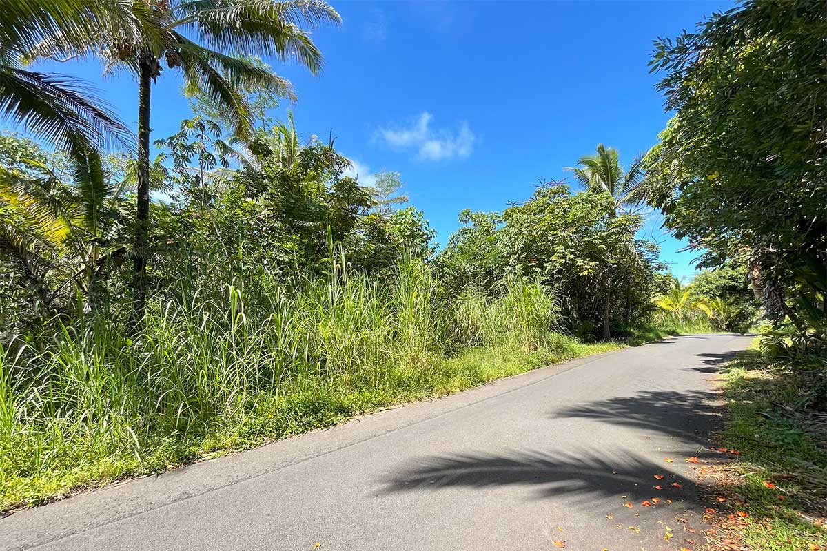 70 Government Beach Road Pahoa, HI 96778 - Photo 18 of 30 Gallery Image 18