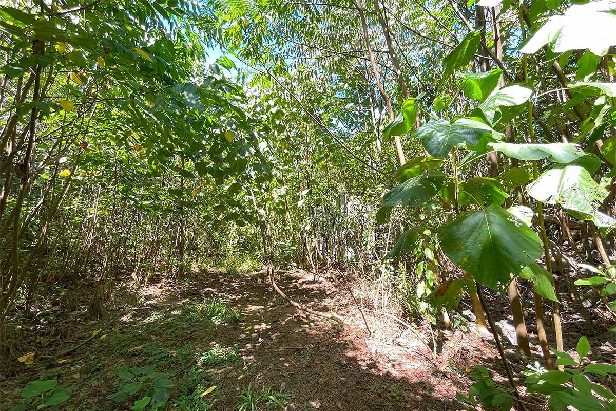 70 Government Beach Road Pahoa, HI 96778 - Photo 19 of 30 Gallery Image 19
