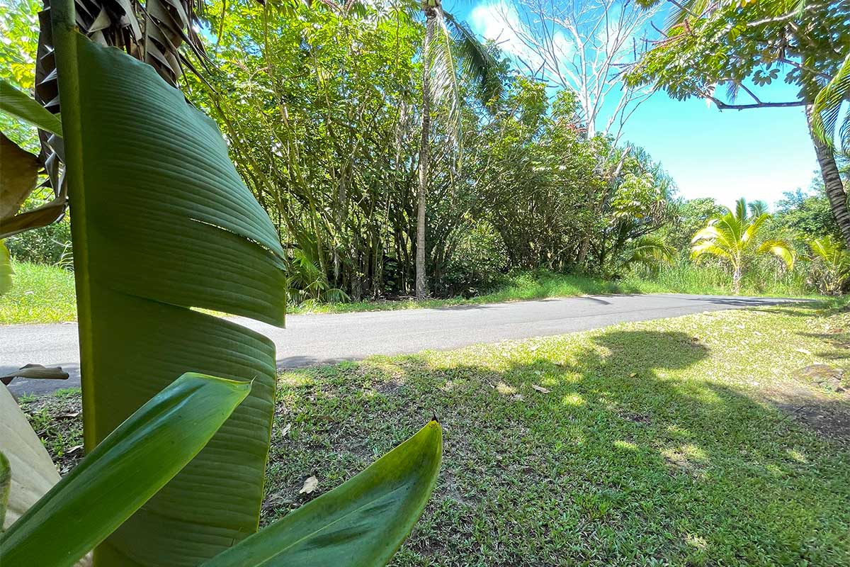 70 Government Beach Road Pahoa, HI 96778 - Photo 20 of 30 Gallery Image 20