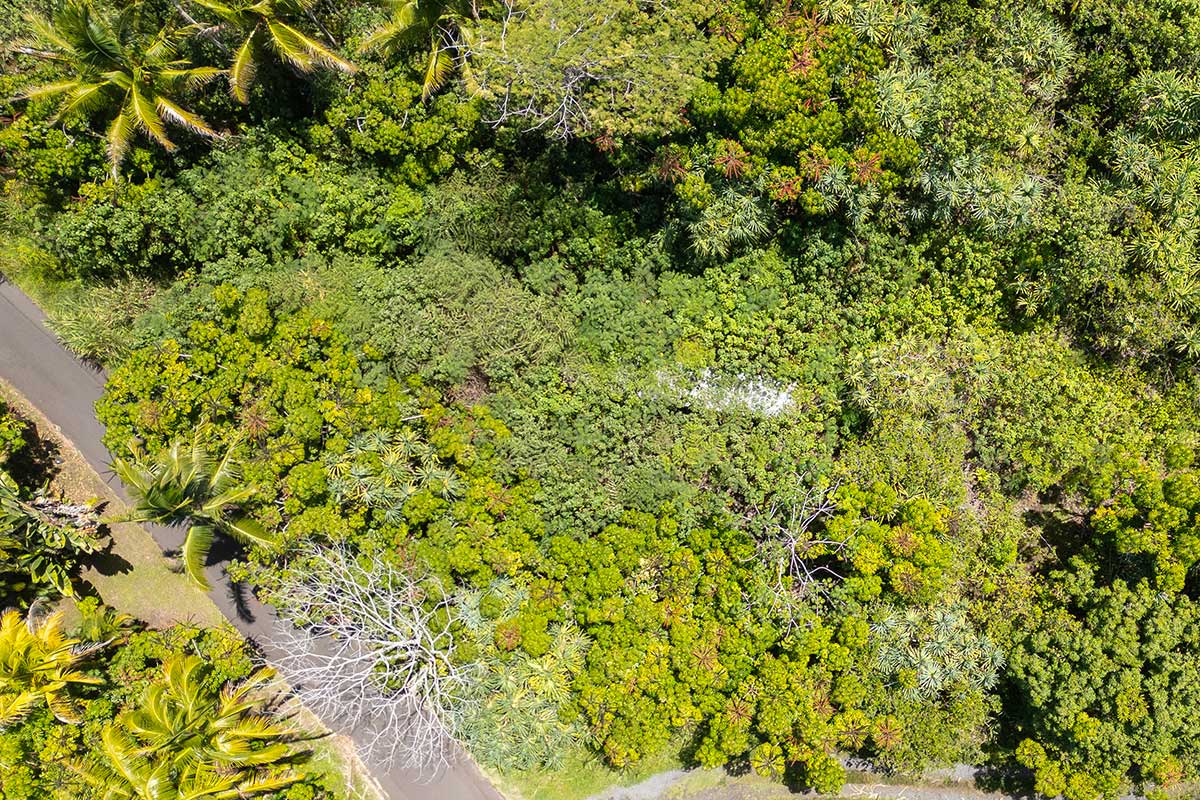 70 Government Beach Road Pahoa, HI 96778 - Photo 25 of 30 Gallery Image 25