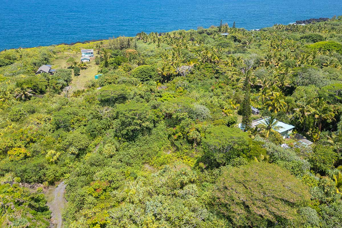 70 Government Beach Road Pahoa, HI 96778 - Photo 26 of 30 Gallery Image 26